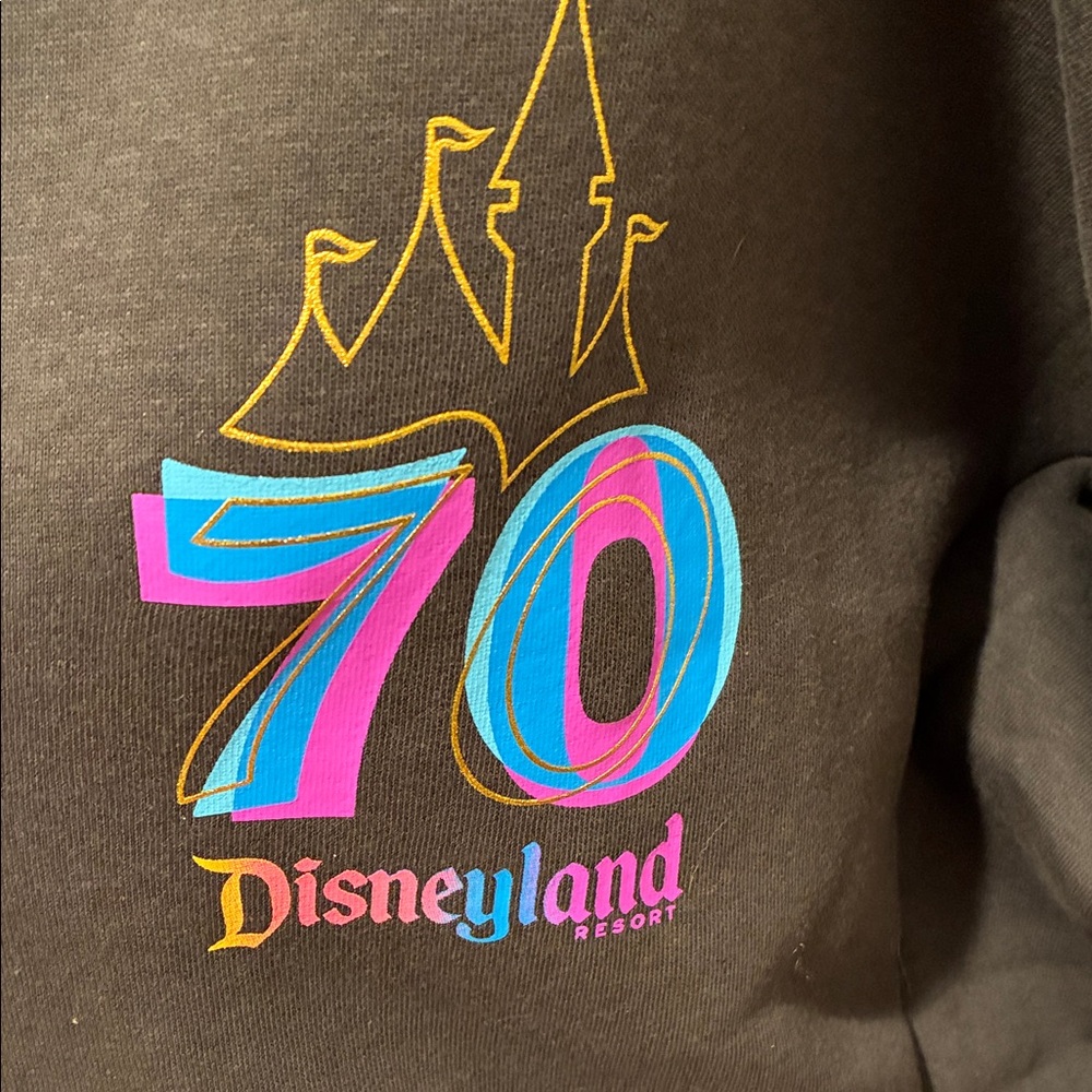 Disney 70th Anniversary Hoodie - Picture 2 of 9